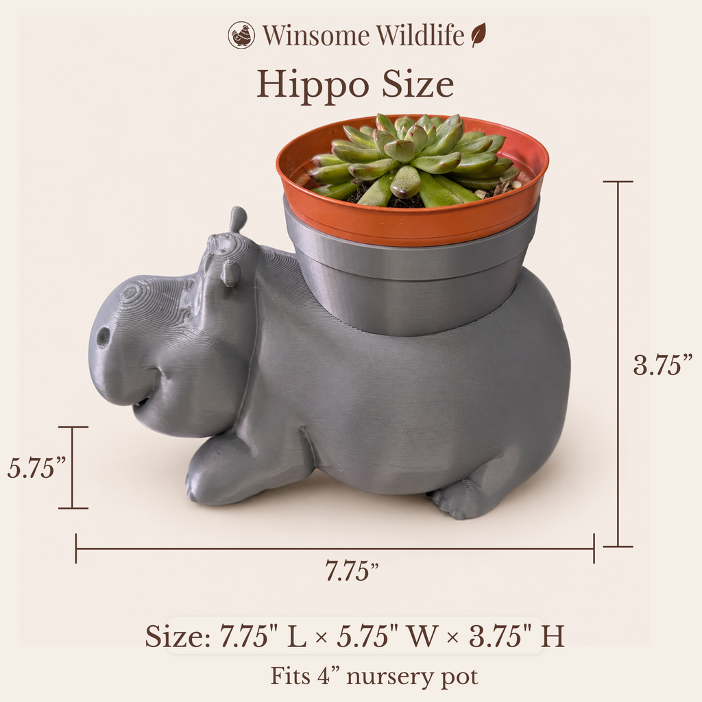Hippo Planter - Winsome Wildlife
