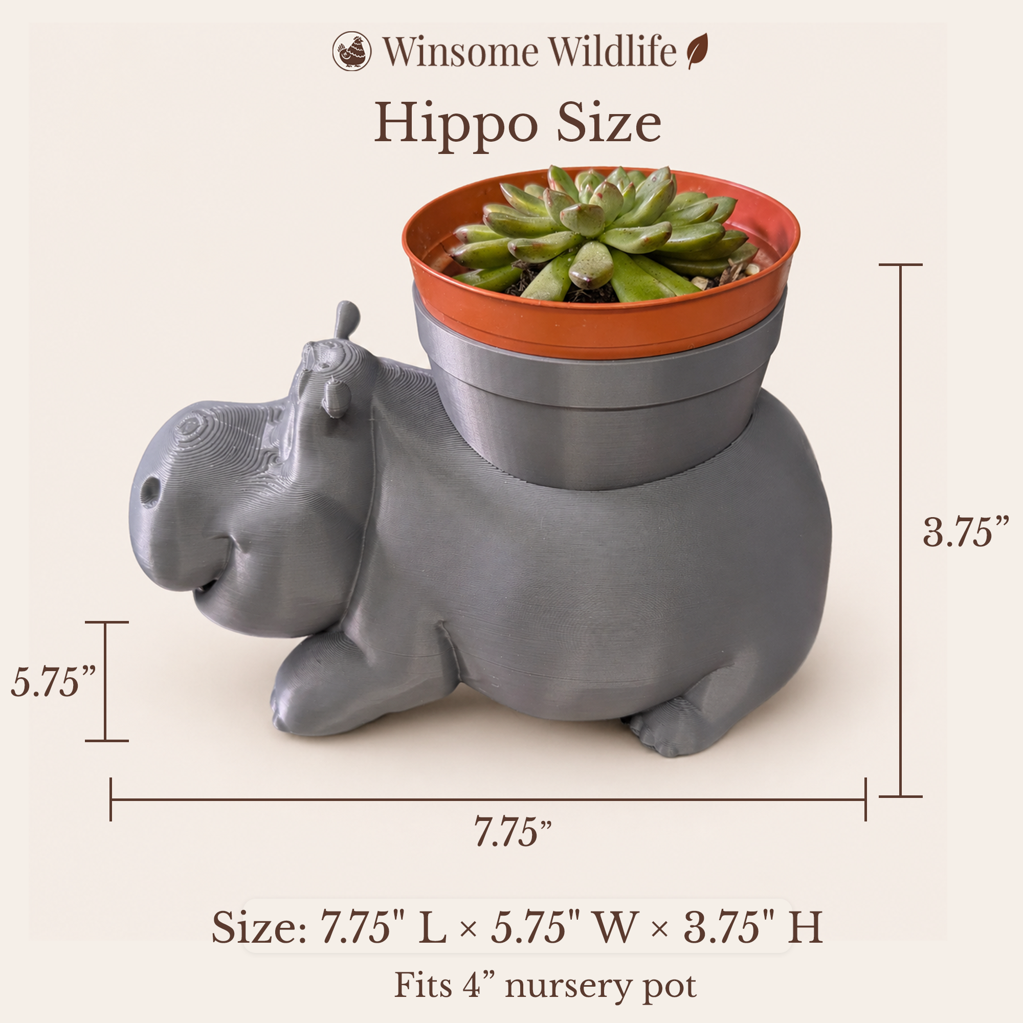 Hippo Planter - Winsome Wildlife
