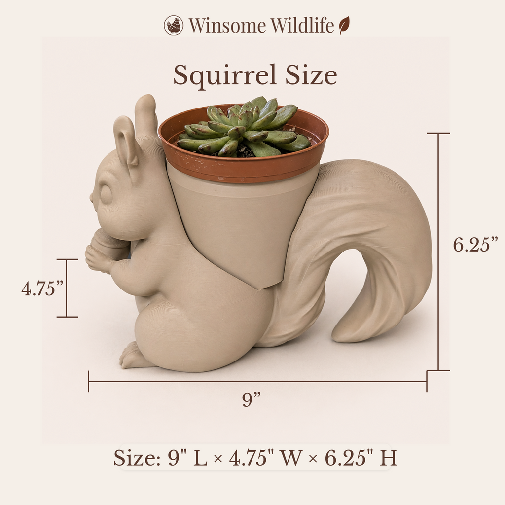 Squirrel Planter - Winsome Wildlife