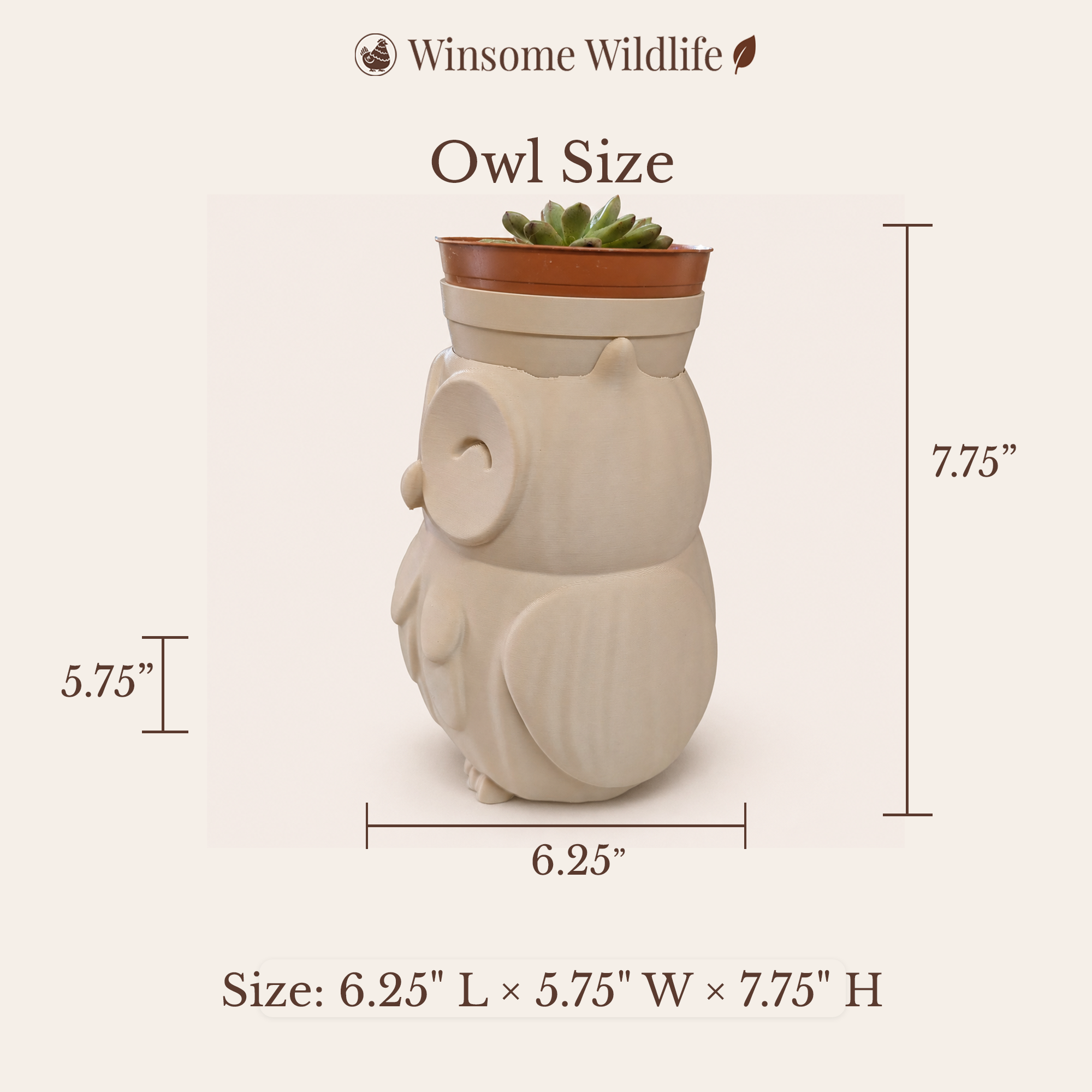 Owl Planter - Winsome Wildlife