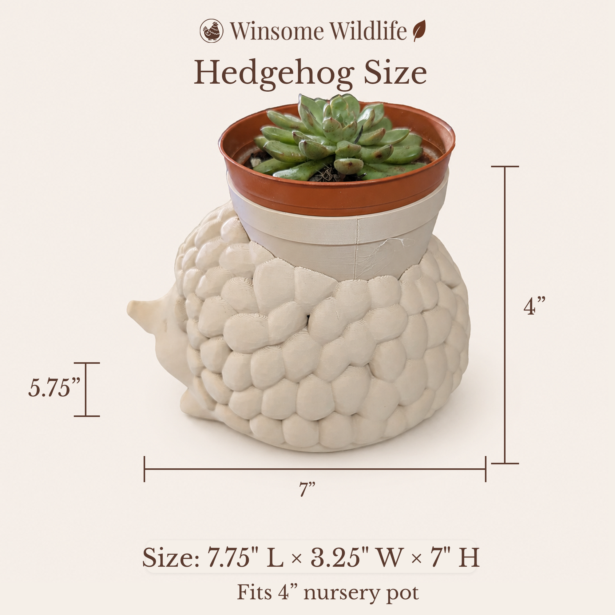 Hedgehog Planter - Winsome Wildlife