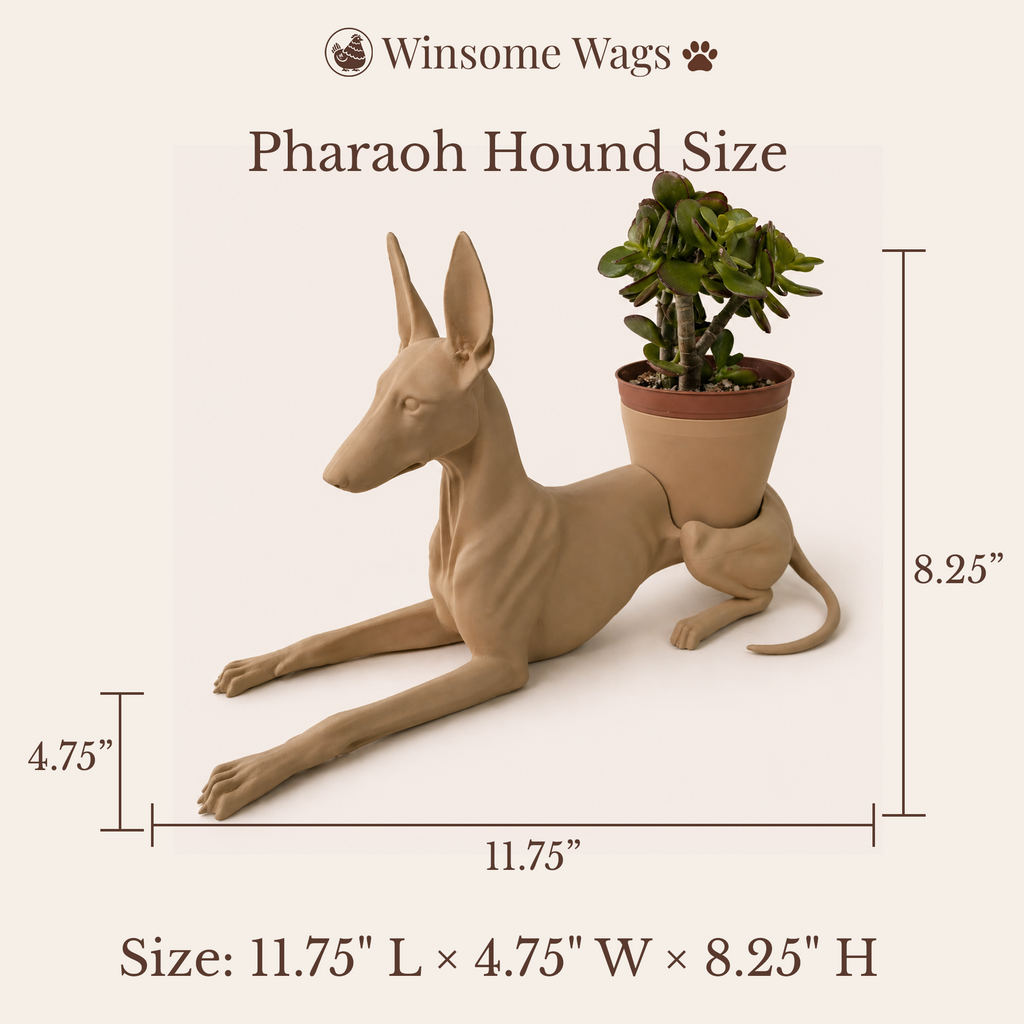 Pharaoh Hound Planter - Winsome Wags