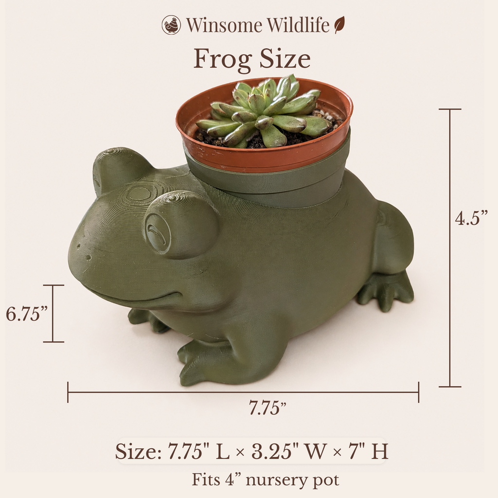 Frog Planter - Winsome Wildlife