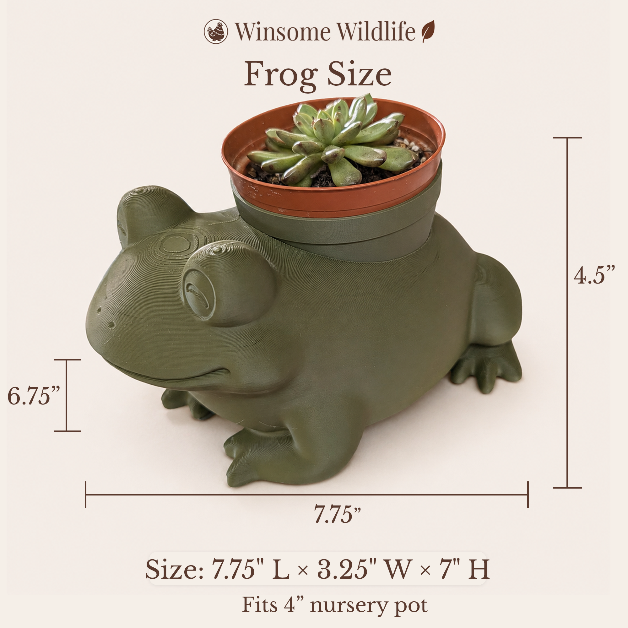 Frog Planter - Winsome Wildlife