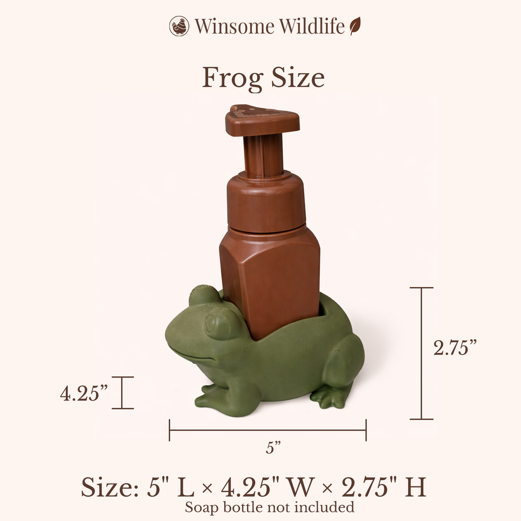 Frog Soap Holder - Bath & Body Works Holder - Winsome Wildlife