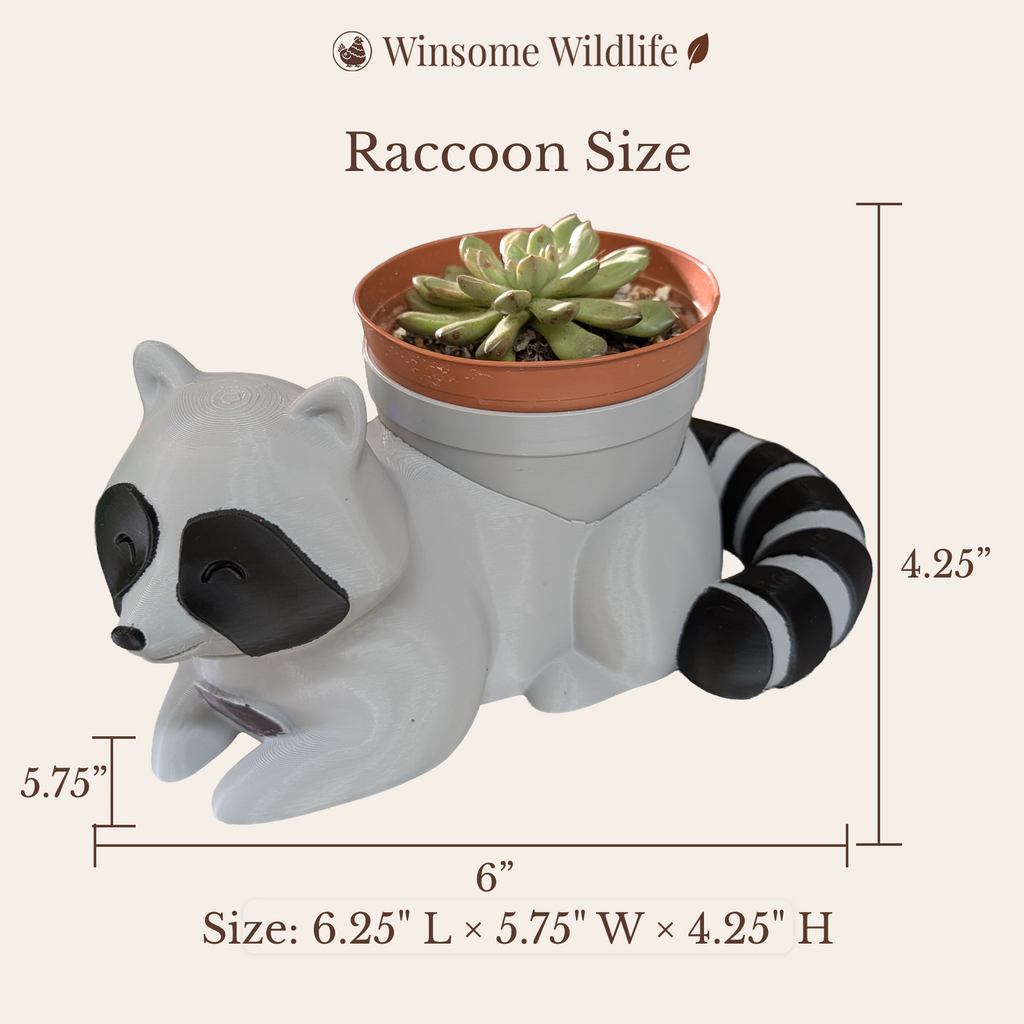 Raccoon Planter - Winsome Wildlife