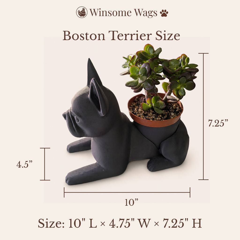 Boston Terrier Planter - Winsome Wags