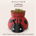Ladybug Planter - Winsome Wildlife