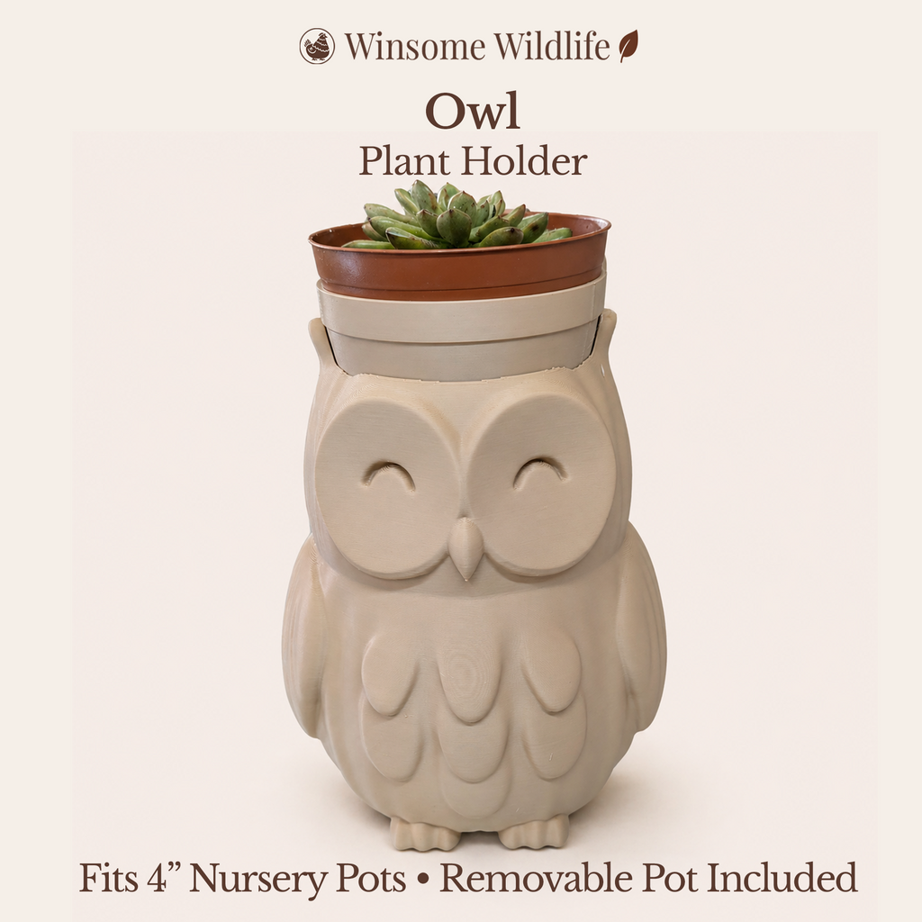 Owl Planter - Winsome Wildlife