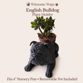 English Bulldog Planter - Winsome Wags