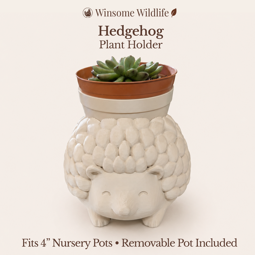 Hedgehog Planter - Winsome Wildlife