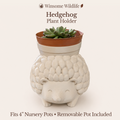 Hedgehog Planter - Winsome Wildlife