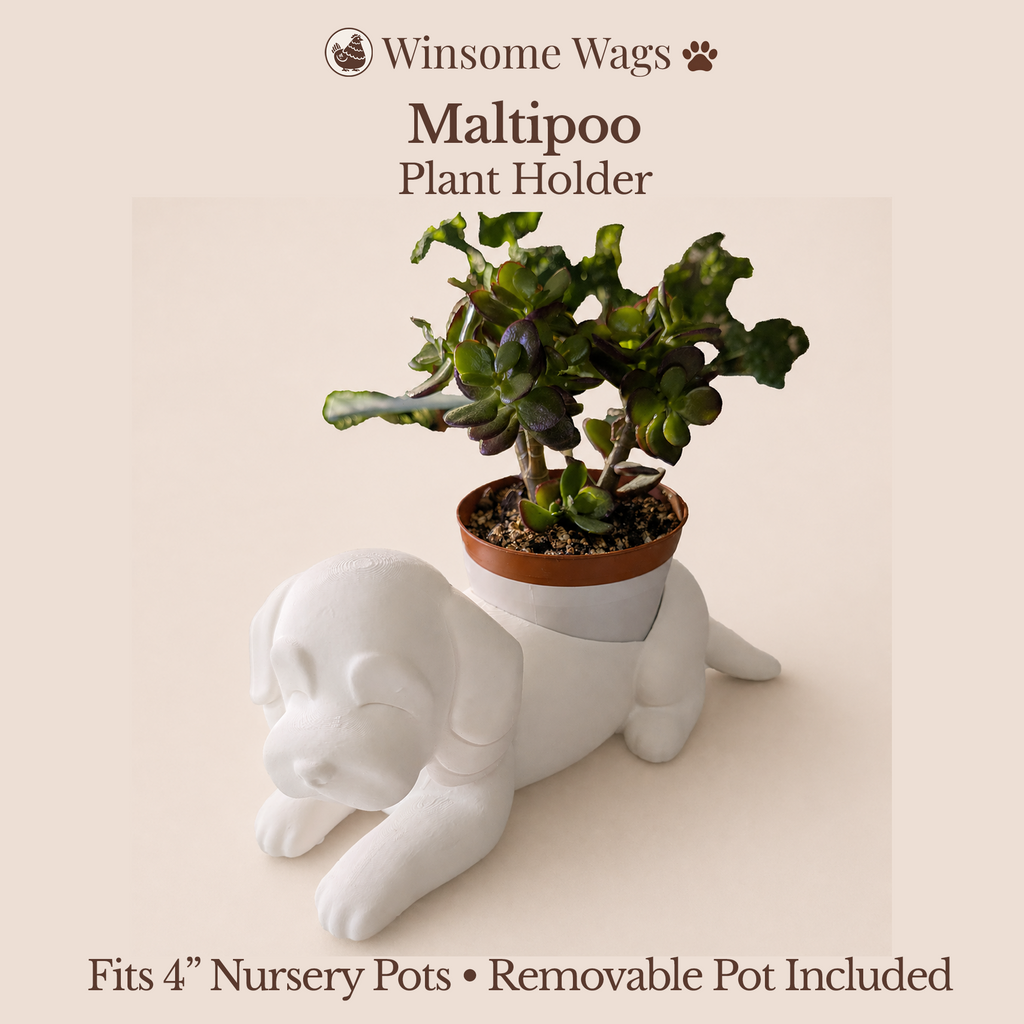 Maltipoo Planter - Winsome Wags