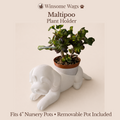 Maltipoo Planter - Winsome Wags