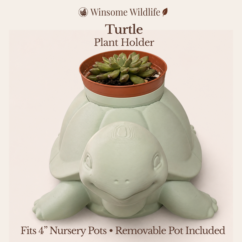 Turtle Planter - Winsome Wildlife