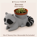 Raccoon Planter - Winsome Wildlife