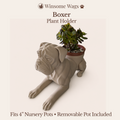 Boxer Planter - Winsome Wags