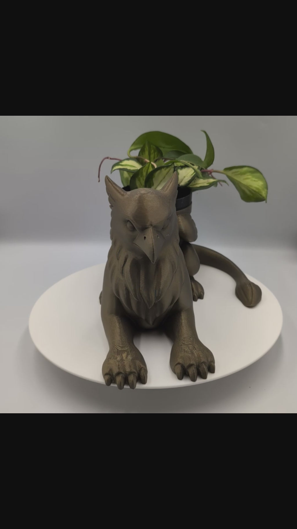 Griffin - Winsome Whimsy Fantasy Soap Dispenser Holder