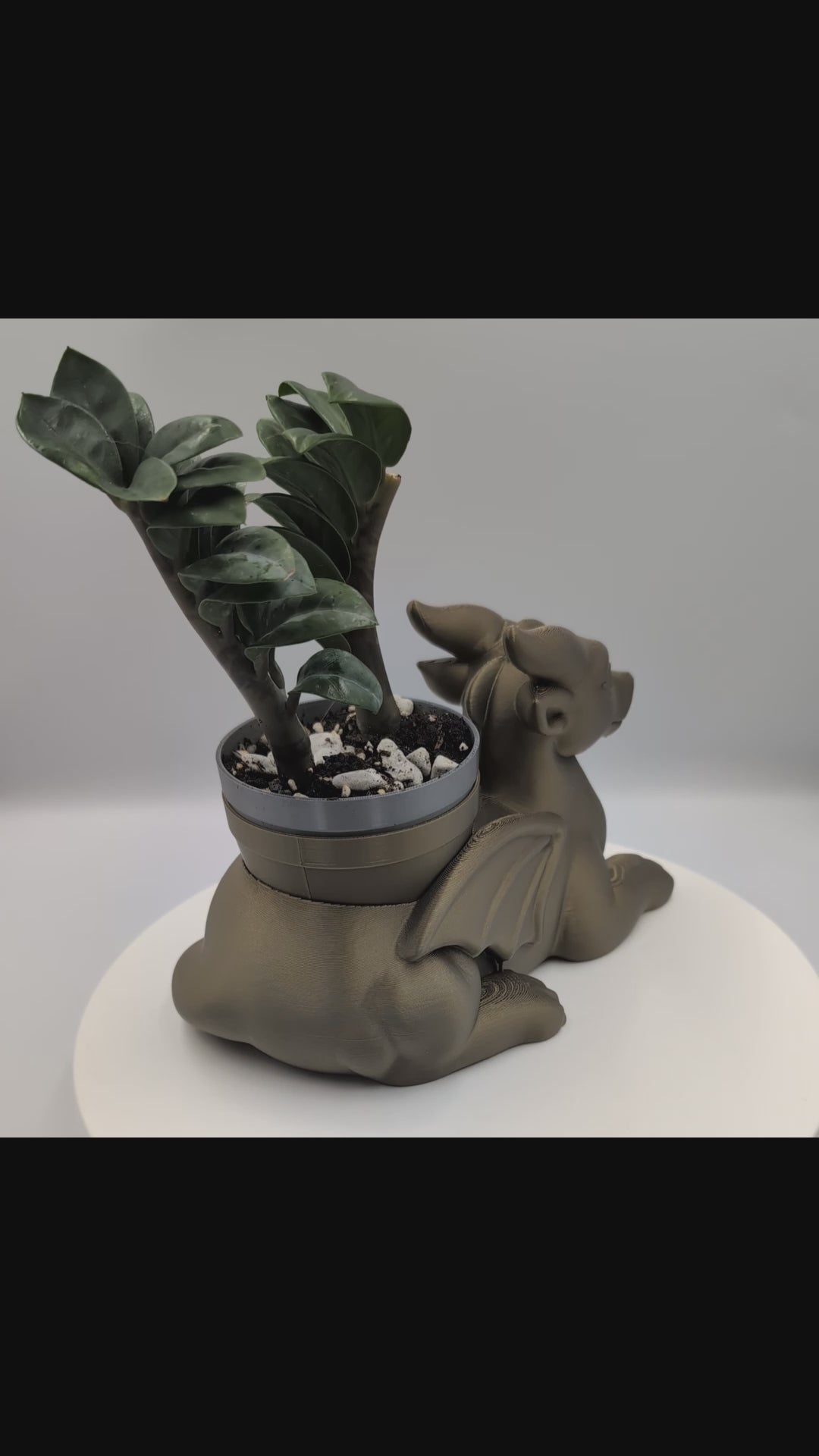 Dragon Planter and Soap Holder Bundle - Winsome Whimsy