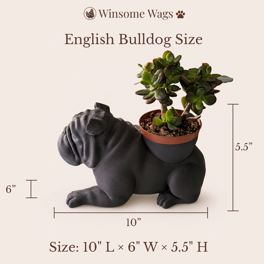 English Bulldog Planter - Winsome Wags