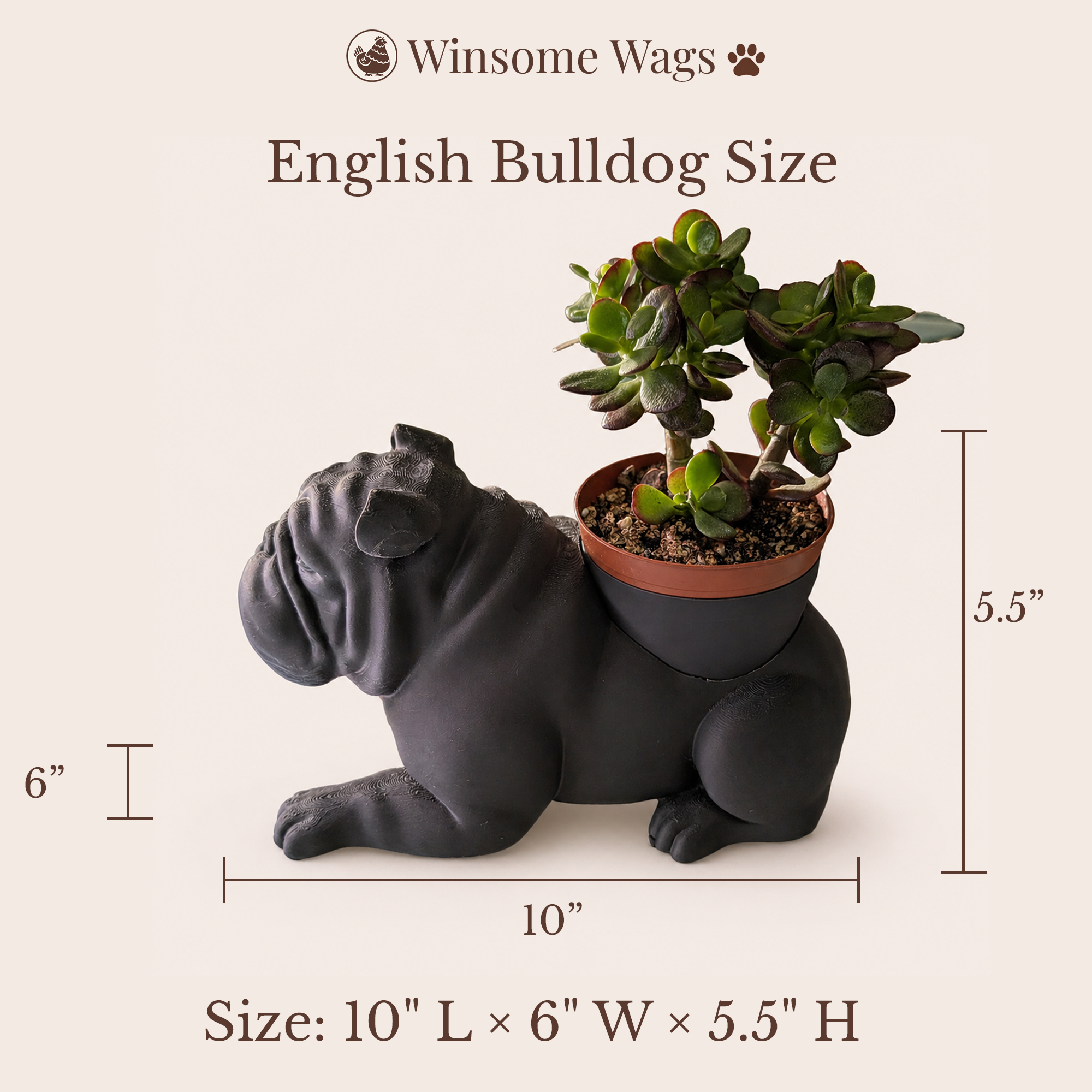 English Bulldog Planter - Winsome Wags